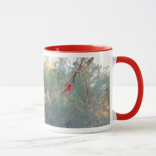 Mok Vermilion Flycatcher (Rechts)