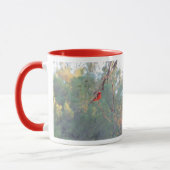 Mok Vermilion Flycatcher (Links)