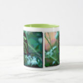 Mok vlinder (Midden)