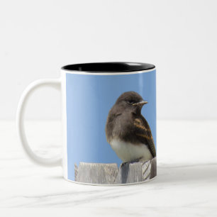 Mok - Vogel op hek