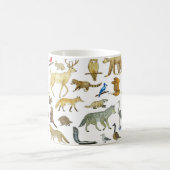 Mok voor het behoud van de grote meren (Center)