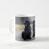 Mok voor honden op Newfoundland (Voorkant links)