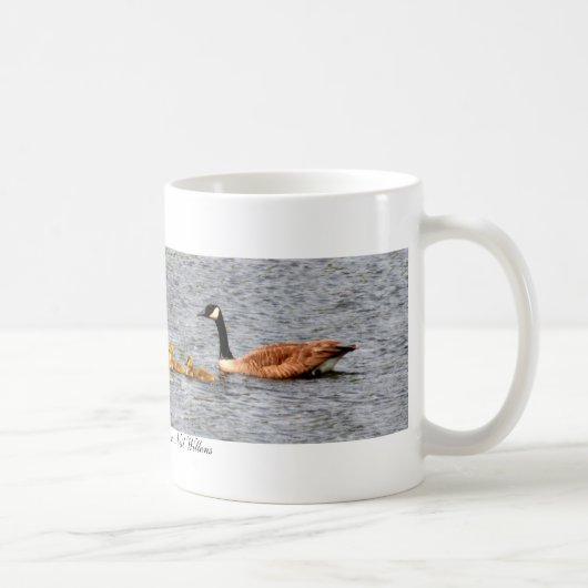 Mok voor watervogels (Rechts)