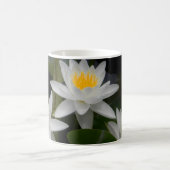 Mok Waterlily Trio (Center)