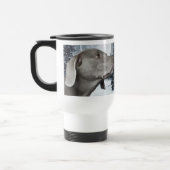 Mok Weimaraner (Links)