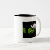 Mok, White Water Lily with Light Tweekleurige Koffiemok (Voorkant rechts)