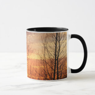 mok winterzonkoffie