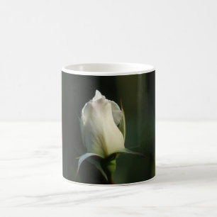 Mok witte rosebud koffie