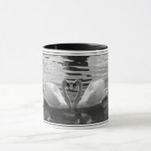 Mok zwarte zwanen (Midden)