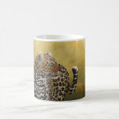 Mokken Leopard (Center)