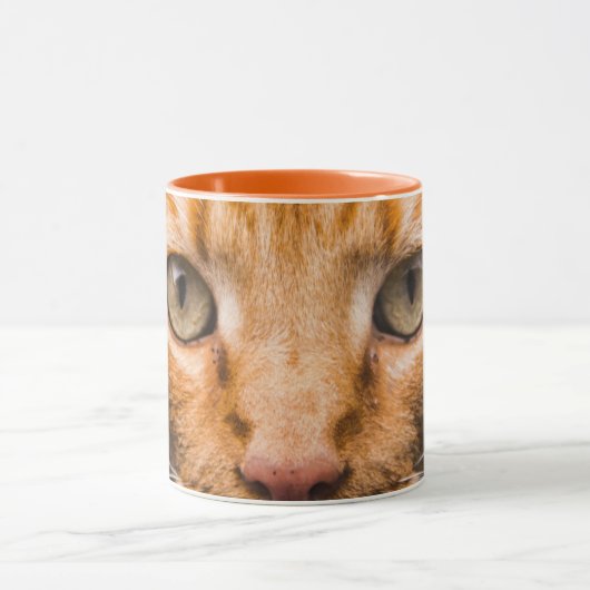 Mokken voor startkatten (Midden)