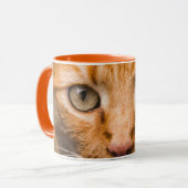 Mokken voor startkatten (Voorkant links)