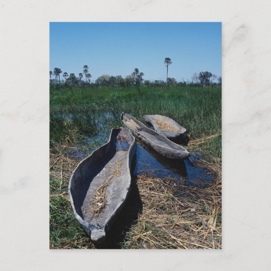 Mokoro's Okavango Delta in Botswana Briefkaart (Voorkant)