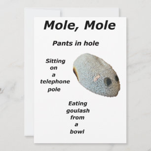 Mol, Mole Poster Feestdagenkaart