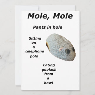 Mol, Mole Poster Feestdagenkaart