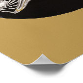 Mola Rotunda Sunfish Skeleton Art Print (Hoek)