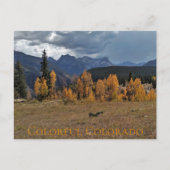 Molas Pass between Durango & Ouray Colorado Briefkaart (Voorkant)