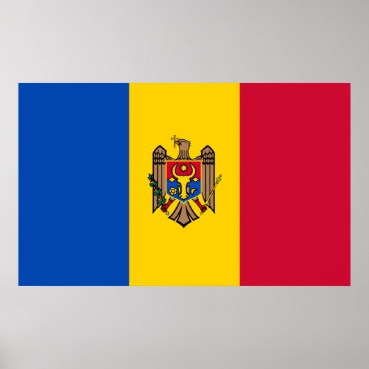 Moldavische vlag poster (Voorkant)