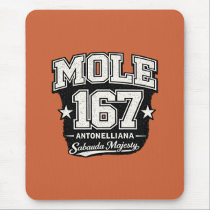 Mole 167 Antonelliana - Sabauda Majesteit Grunge E Muismat