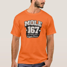 Mole 167 Antonelliana - Sabauda Majesteit Grunge E