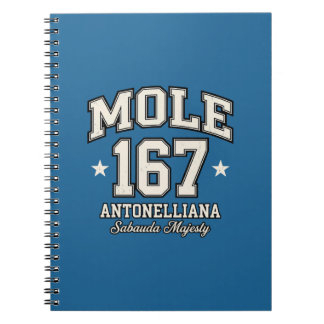 Mole Antonelliana - Sabauda Majesteit Vintage Vars Notitieboek