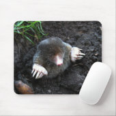 Mole Muismat (Met muis)