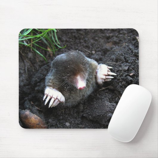 Mole Muismat (Met muis)