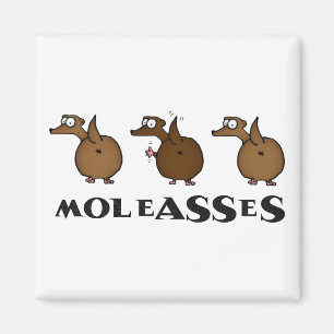 Moleasses Magnet Magneet