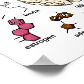 Molecules Galore. Poster (Hoek)