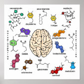 Molecules Galore. Poster (Voorkant)