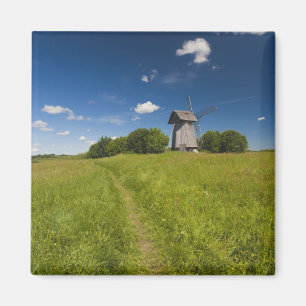 Molen bij Mikhailovskoye Magneet