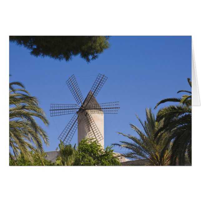 Molen, Palma, Mallorca, Spanje (Voorkant Horizontaal)