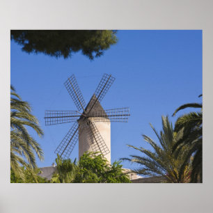 Molen, Palma, Mallorca, Spanje Poster