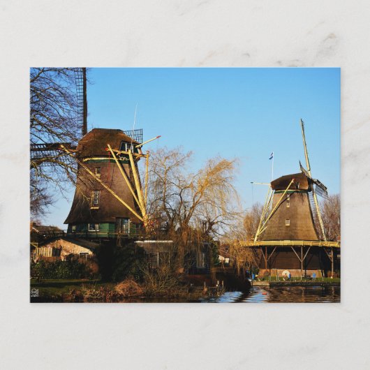 Molens in Nederlands landschap. Briefkaart (Voorkant)