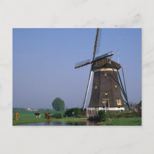 Molens, Leidschendam, Nederland Briefkaart