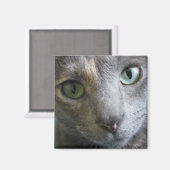 Mollie Magneet (Voorkant / Achterkant)