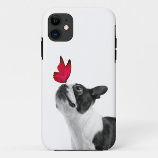 Mollie Mäusekind Boston Terrier iPhone 11 Hoesje