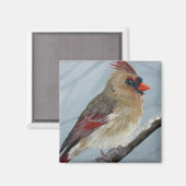 mollig Vrouw kardinaal - magneet (Voorkant / Achterkant)