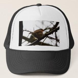 Mollige Engelse Roodborst Trucker Pet