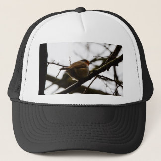 Mollige Engelse Roodborst Trucker Pet