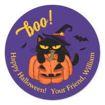 Mollige zwarte kat in heksenhoed Halloween boe
