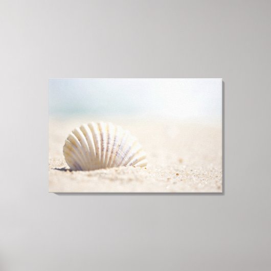 Mollusk Seashell Canvas Afdruk (Voorkant)