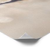 Mollusk Seashell Poster (Hoek)