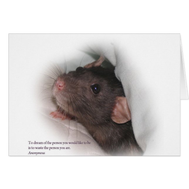 Molly1en disant (Devant horizontal)