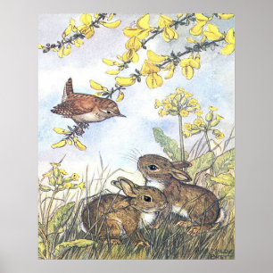 Molly Brett Art Wren en Rabbit Poster
