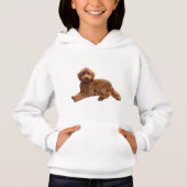 Molly de Goldendoodle (Voorkant)