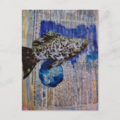 Molly Fish mixed media collage Postcard Briefkaart (Voorkant)