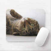 Molly Muismat (Met muis)