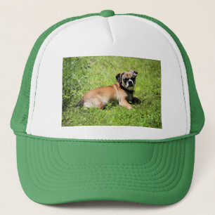 Molly Trucker Pet