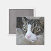 Molly vous regarde Kitty Magnet Carré (Recto/Verso)